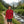 State Thirty Eight - Colorado - Topography - Outdoor Hoodie
